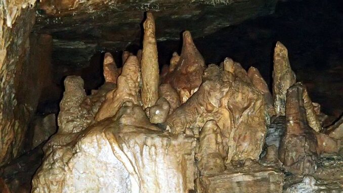 Mladečské jeskyně, ČR