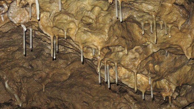 Brestovská jeskyně, Slovensko