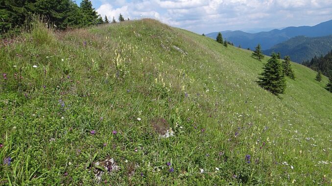 Lysec, Velká Fatra, Slovensko